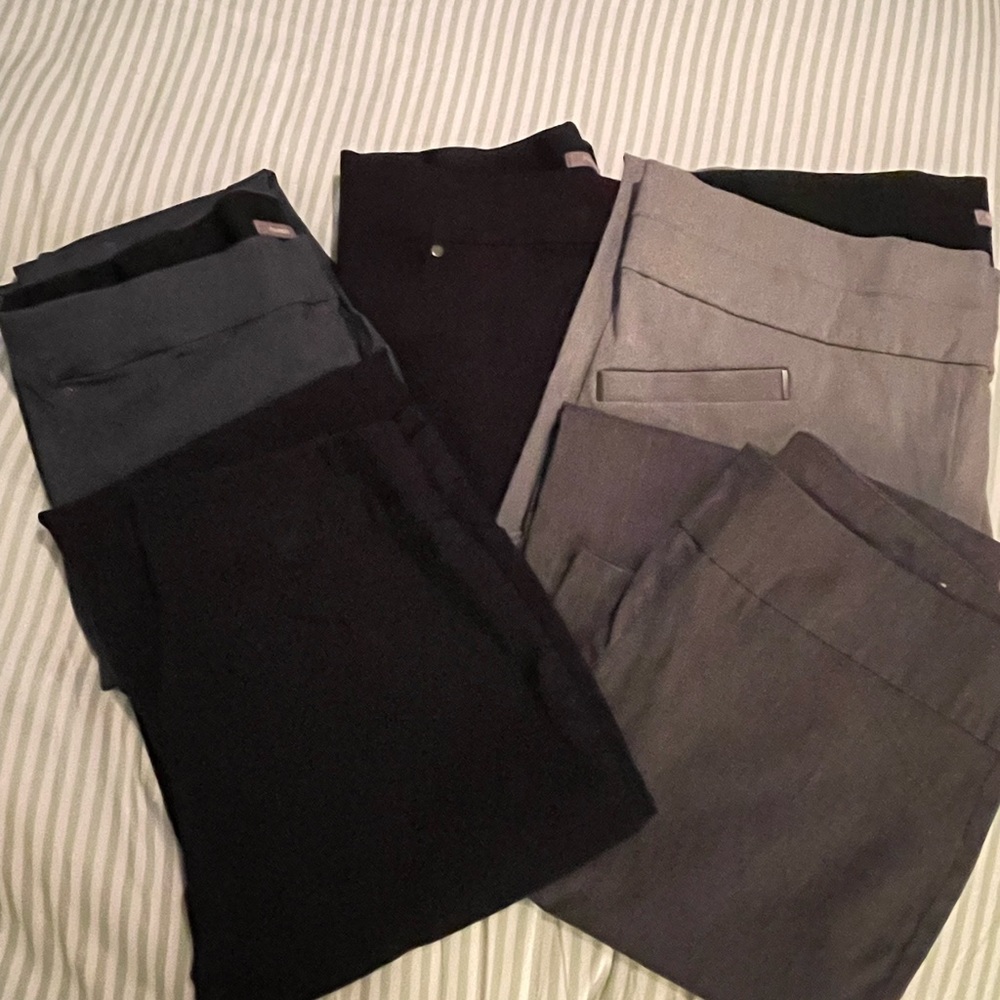 Maurices Pants Bundle